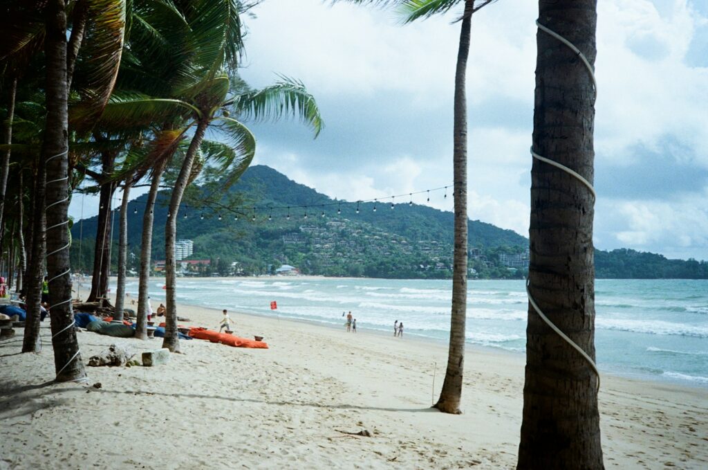 a beach with palm trees and people on it