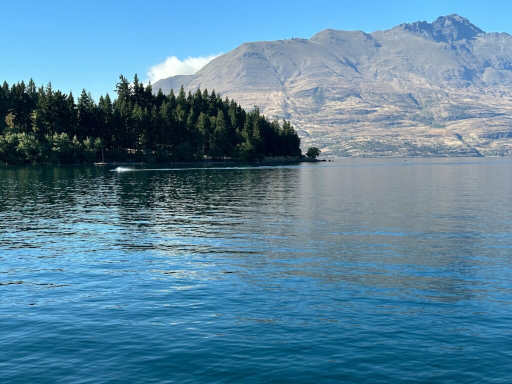 a body of water surrounded by trees and mountains