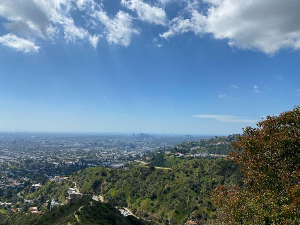 A scenic view of a city from a hill