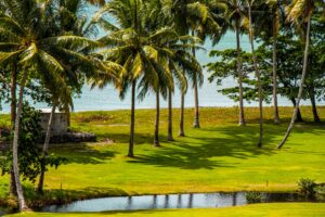 a lush green field with palm trees next to a body of water